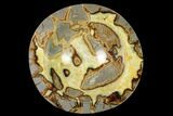 Polished Septarian Bowl With Ammonite Fossil - Utah #169532-1